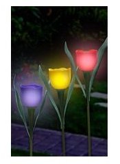 Solar Powered Tulips