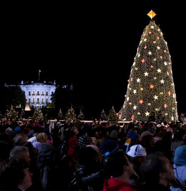 National Christmas Tree Lighting: 2010 National Christmas Tree